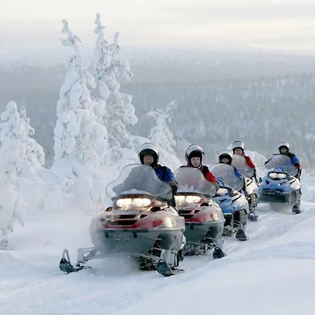 Haukka *